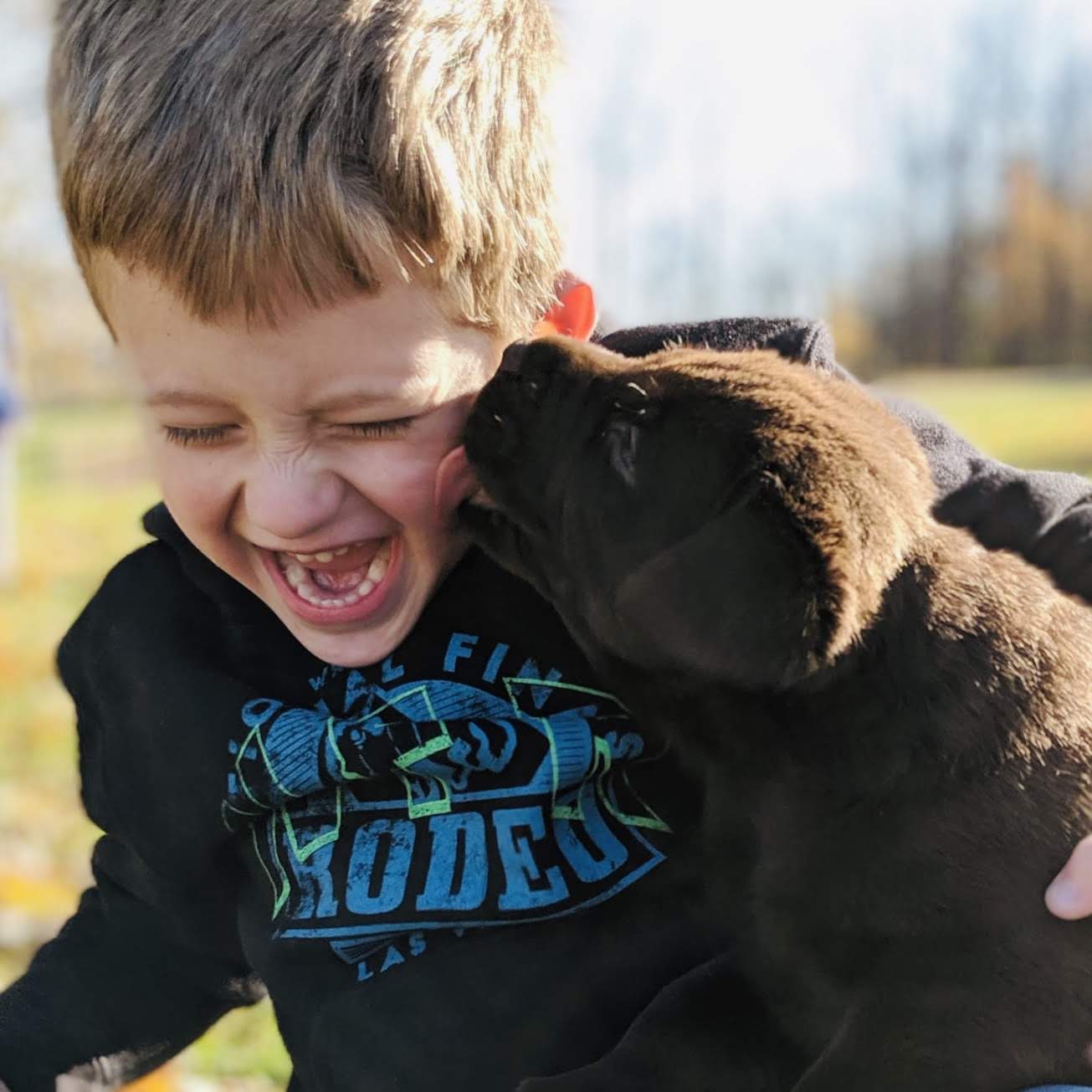 Young boy playing with a chocolate lab